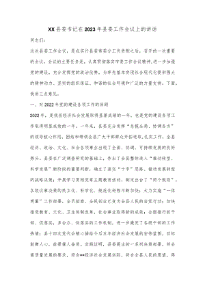 XX县委书记在2023年县委工作会议上的讲话【 】.docx