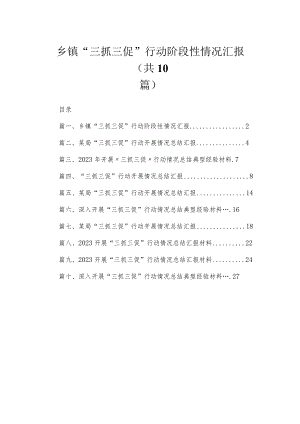 （10篇）乡镇“三抓三促”行动阶段性情况汇报汇编.docx