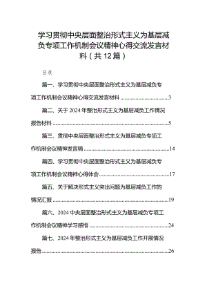 学习贯彻中央层面整治形式主义为基层减负专项工作机制会议精神心得交流发言材料（共12篇）.docx