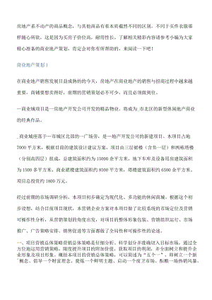 商业地产策划方案[修改版].docx