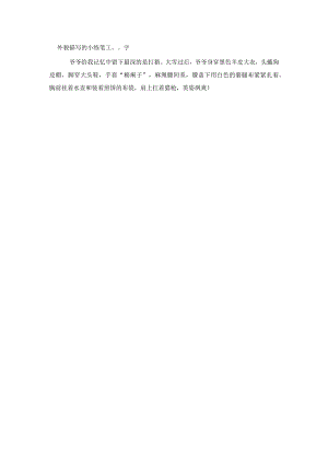 外貌描写的小练笔100字.docx