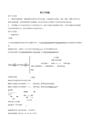 2023-2024学年人教版新教材选择性必修三 第四章第三节 核酸 学案 (4).docx