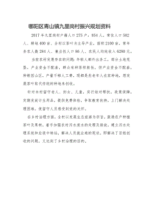 九里岗村振兴规划资料.docx