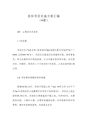 （18篇）投标项目实施方案汇编【 】.docx