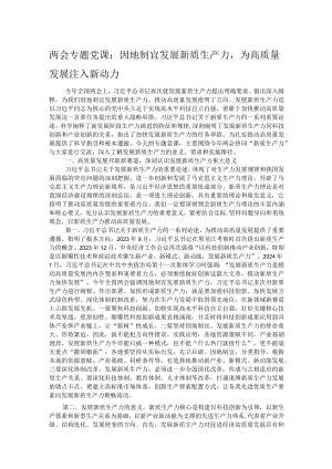 两会专题党课：因地制宜发展新质生产力为高质量发展注入新动力.docx