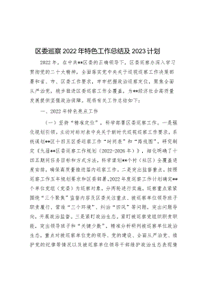 区委巡察2022年特色工作总结及2023计划&办公室2023年上半年工作总结和下半年工作计划.docx
