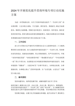 2024年开展优化提升营商环境专项行动实施方案.docx