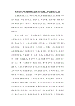某市知识产权局思想主题教育阶段性工作进展情况汇报.docx