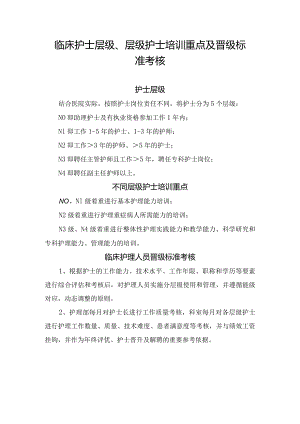 临床护士层级、层级护士培训重点及晋级标准考核.docx