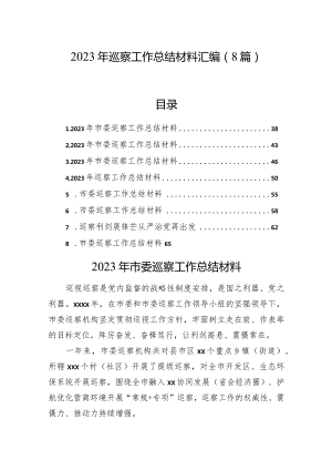2023年巡察工作总结材料汇编（8篇）.docx