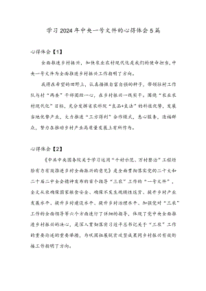 学习2024年中央一号文件的心得体会5篇.docx