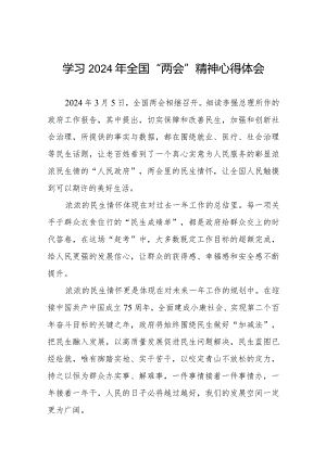 2024年两会精神学习心得体会二十篇.docx