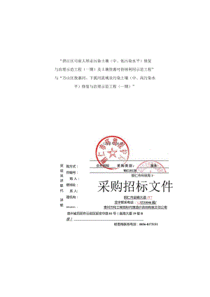 汞污染土壤(中、低污染水平)修复与治理示范工程招投标书范本.docx
