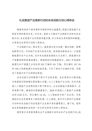 （4篇）扎实推进产业焕新行动和未来启航行动心得体会在2024年“两会”纺织行业代表委员座谈视频会议上的讲话.docx