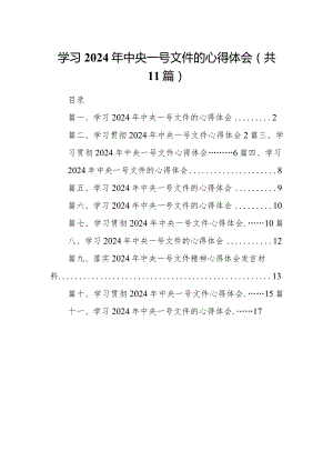 （11篇）学习2024年中央一号文件的心得体会参考范文.docx