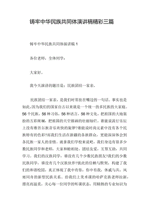 铸牢中华民族共同体演讲稿精彩三篇.docx