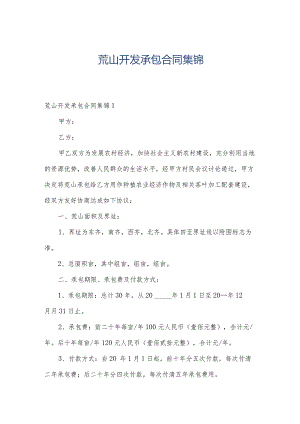 荒山开发承包合同集锦.docx
