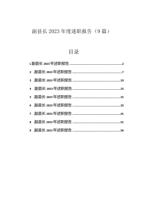2023年度述职报告（副县长）（9篇）.docx