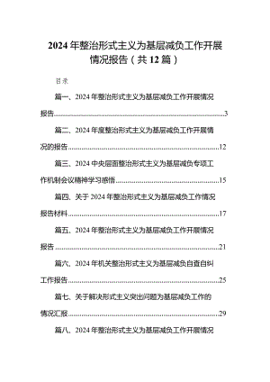 2024年整治形式主义为基层减负工作开展情况报告12篇（详细版）.docx