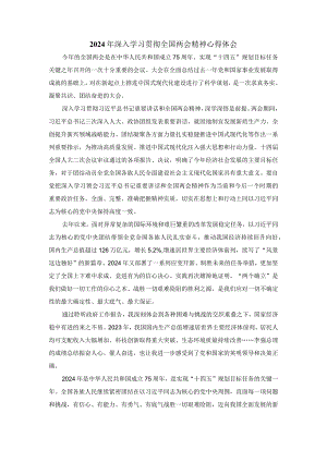 2024年深入学习贯彻全国两会精神心得体会.docx