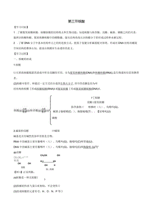 2023-2024学年人教版新教材选择性必修三 第四章第三节 核酸 学案.docx