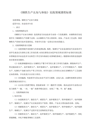《钢铁生产认知与体验》实践领域课程标准.docx