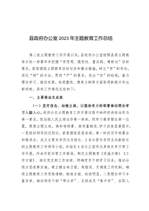 第二批主题教育工作总结（县政府办公室）.docx