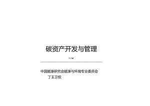 王卫权-碳资产开发与管理-20221012.docx