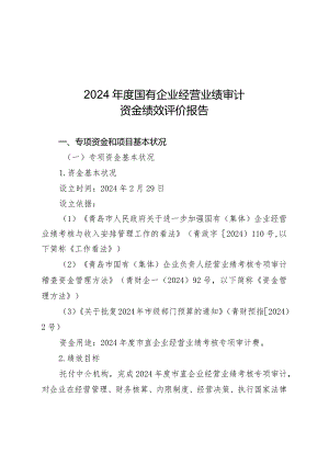 2024国有企业经营业绩审计.docx