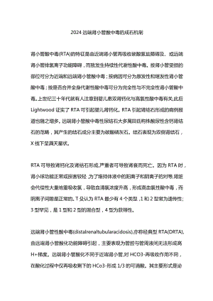 2024远端肾小管酸中毒的成石机制.docx