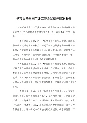 2024学习贯彻全国审计工作会议精神情况总结十五篇.docx