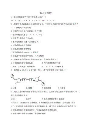 2023-2024学年人教版新教材选择性必修三 第四章第三节 核酸 作业.docx