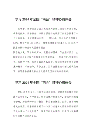 2024年两会精神学习心得体会合辑30篇.docx