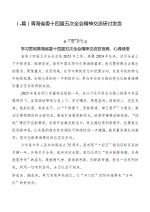 （9篇）青海省委十四届五次全会精神交流研讨发言.docx