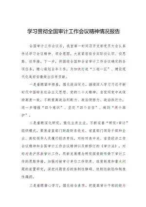 关于贯彻落实2024全国审计工作会议精神的情况汇报十五篇.docx