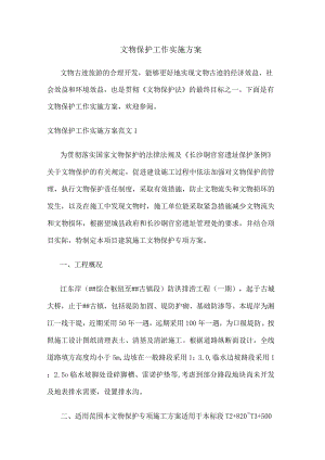 文物保护工作方案.docx