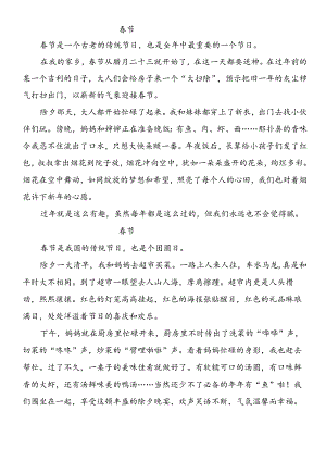 300字小学生春节日记作文 3篇.docx