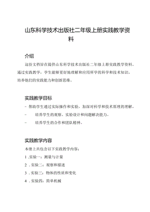 山东科学技术出版社二年级上册实践教学资料.docx