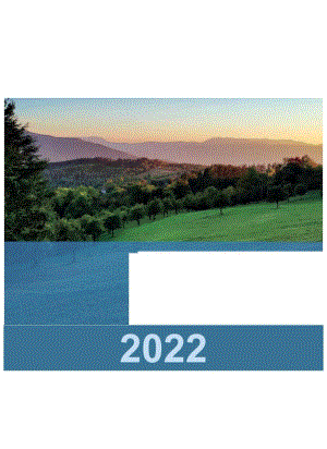 2022中国碳中和与清洁空气协同路径报告.docx