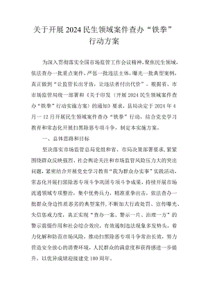 关于开展2024民生领域案件查办“铁拳”行动方案.docx