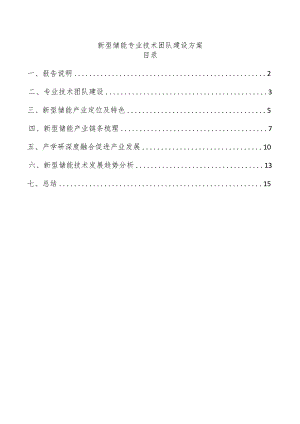 新型储能专业技术团队建设方案.docx