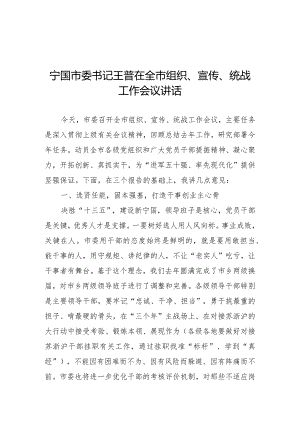 宁国市委书记王普在全市组织、宣传、统战工作会议讲话.docx