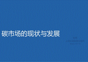 彭峰-20221012 国内外碳市场的建设与发展.docx