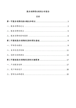 服务消费理论框架分析报告.docx