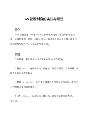 6S管理制度的实践与展望.docx