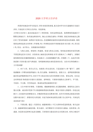 2020大学班主任评语.docx