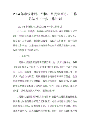 2024年市统计局、纪检、县委巡察办、工作总结及下一步工作计划.docx
