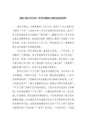 落实2024年中央一号文件精神心得体会发言材料（共6篇）.docx