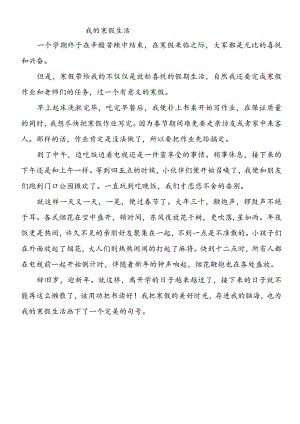 《我的寒假生活》500字优秀范文.docx