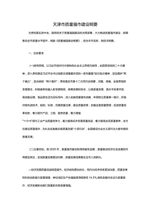 天津市质量强市建设纲要.docx